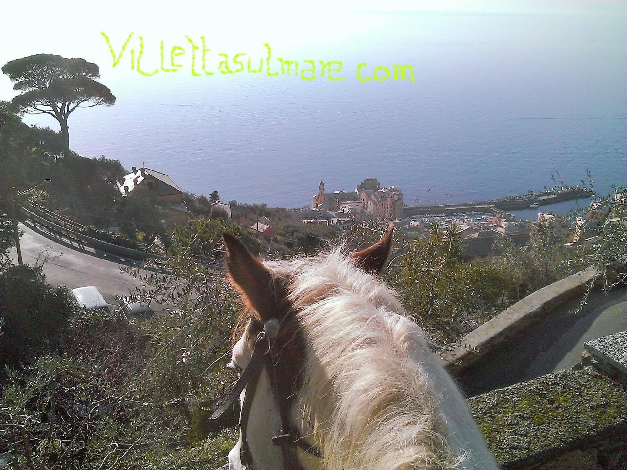 Villetta Sul Mare Camogli Exterior photo