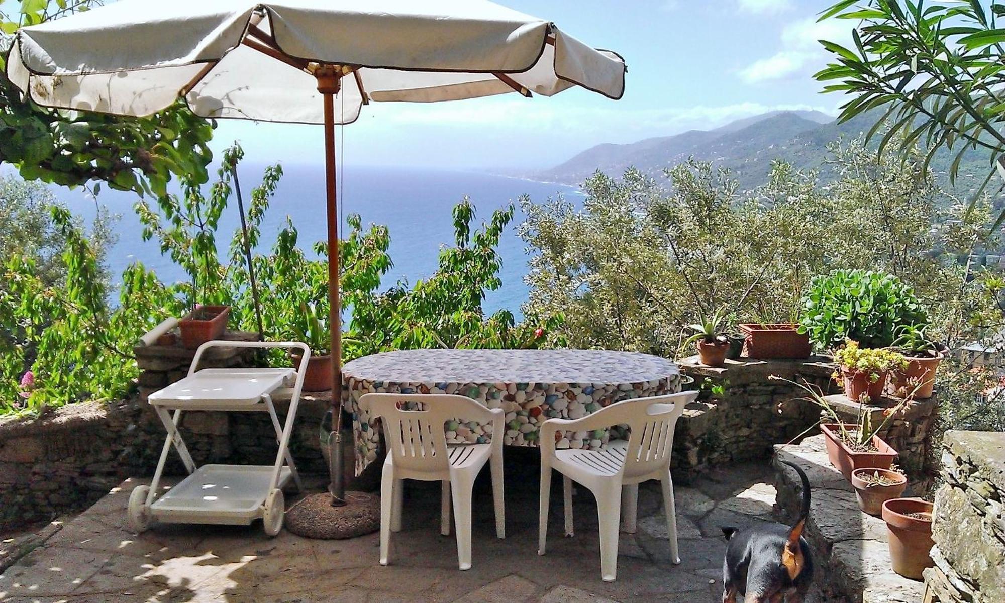 Villetta Sul Mare Camogli Exterior photo