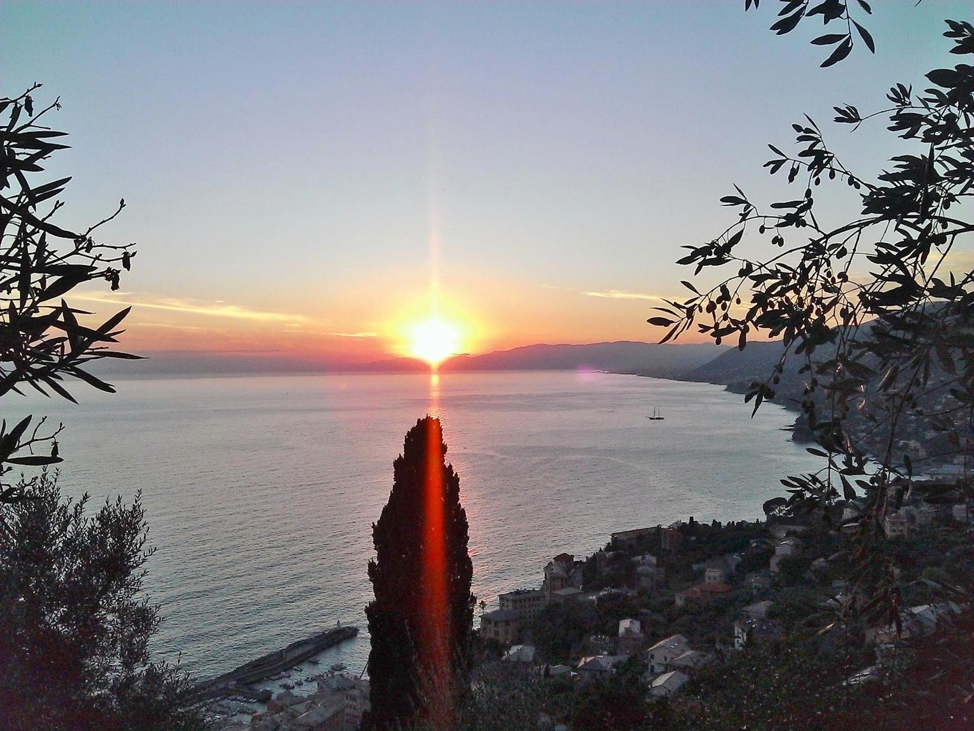Villetta Sul Mare Camogli Exterior photo